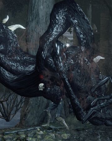 Pus Of Man Dark Souls Wiki Fandom