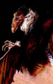 Aarakocra
