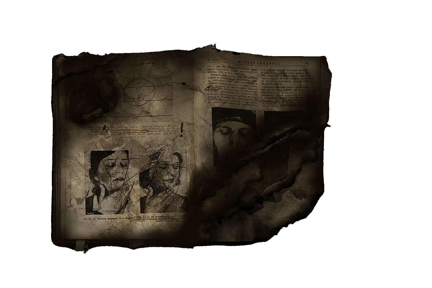 burned-book-darkwood-wiki-fandom