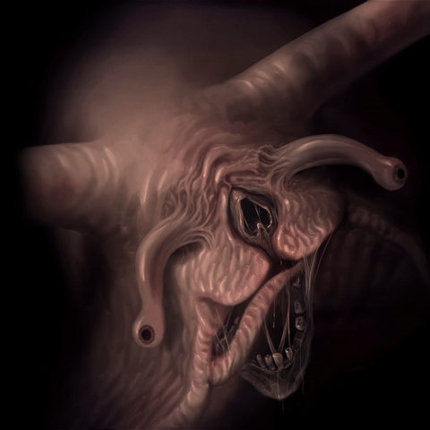 snail darkwood wiki fandom powered by wikia darkwood