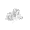 Icon ice