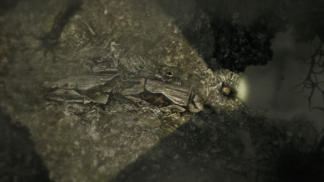 darkwood musician darkwood musician