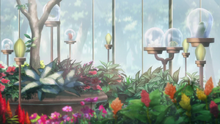 Greenhouse11