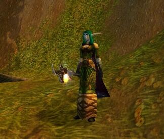 WoWScrnShot 062110 132023
