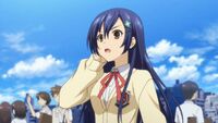 Shiori 1