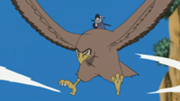 180px-Sasuke Hawk