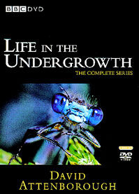 Life in the Undergrowth | David Attenborough Wiki | Fandom