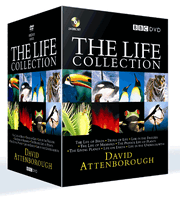 LIFE-COLL 3Dlrg-1-