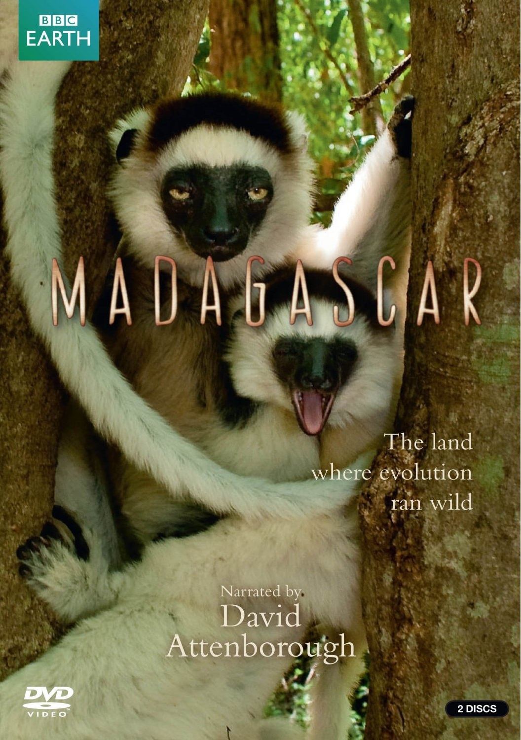 Madagascar | David Attenborough Wiki | Fandom