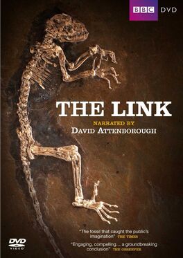 TheLink