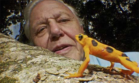 David Attenborough | David Attenborough Wiki | Fandom