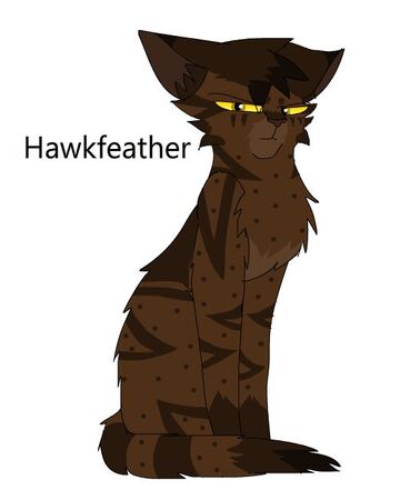 Hawkfeather Dawnmistfanfiction Wiki Fandom