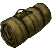 Sleeping bag