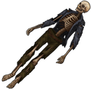 Skeleton1