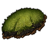 Moss