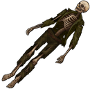 Skeleton4