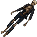 Skeleton3