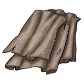 Rags