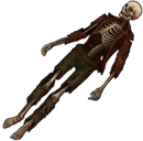 Skeleton6