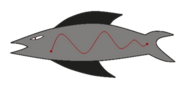 Fish A V2