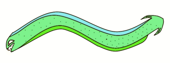Vineless grass snake complete