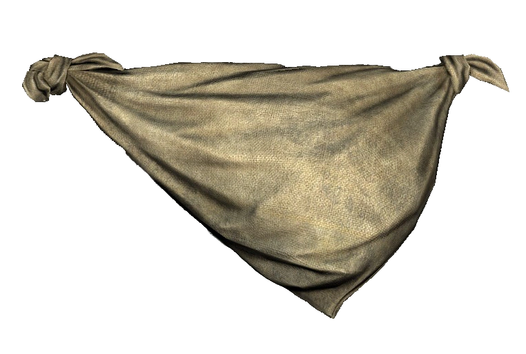 Improvised Courier Bag DayZ Standalone Wiki Fandom