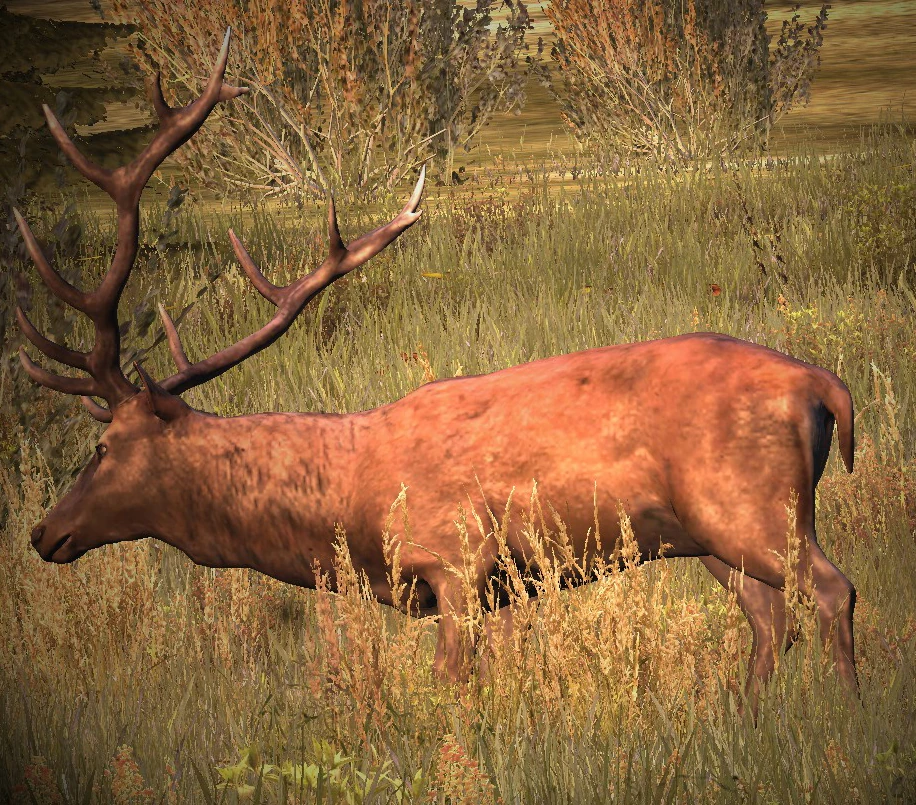 CategoryAnimals DayZ Standalone Wiki FANDOM powered by Wikia