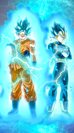 Divine Diamond Dyad Super Saiyan God SS Goku and Super Saiyan God SS ...