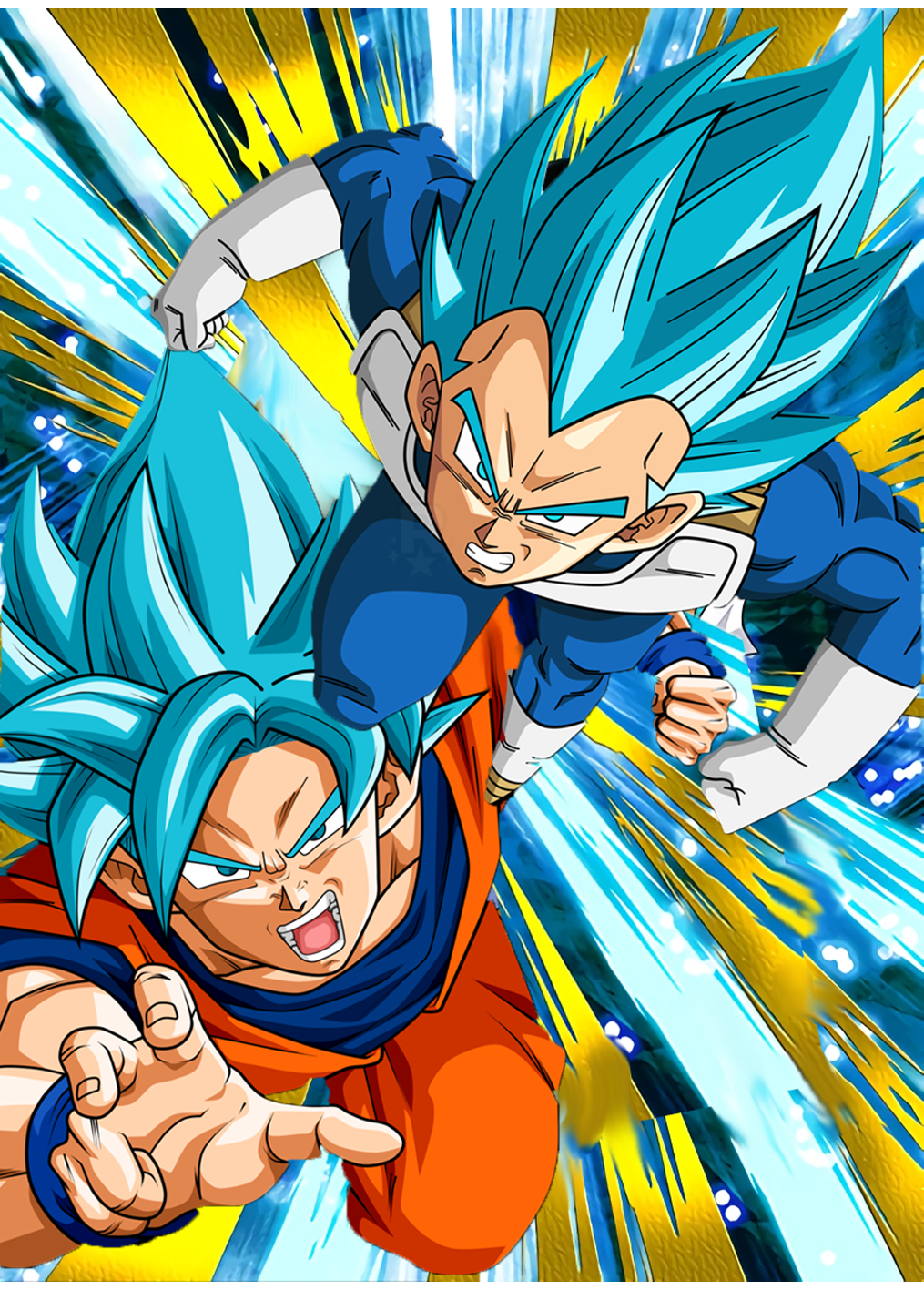 ssjb goku and vegeta