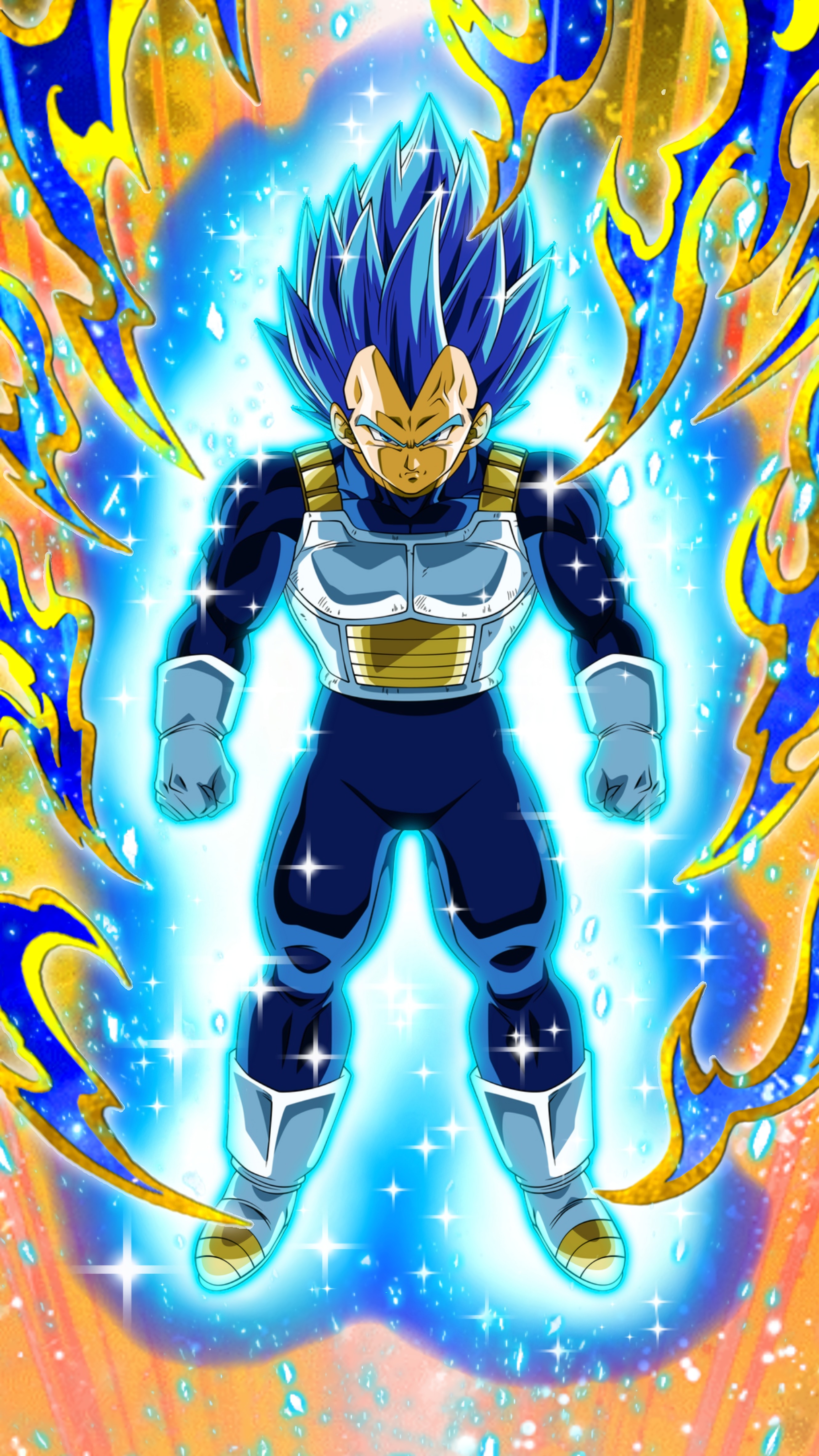 Accepted Pride Super Saiyan God SS Evolution Vegeta DB