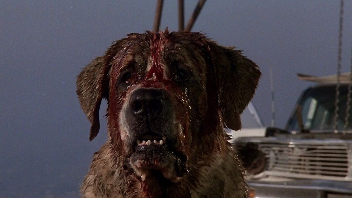 the dark tower cujo