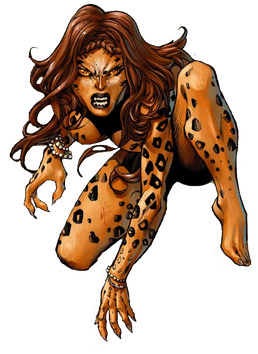 Cheetah DC