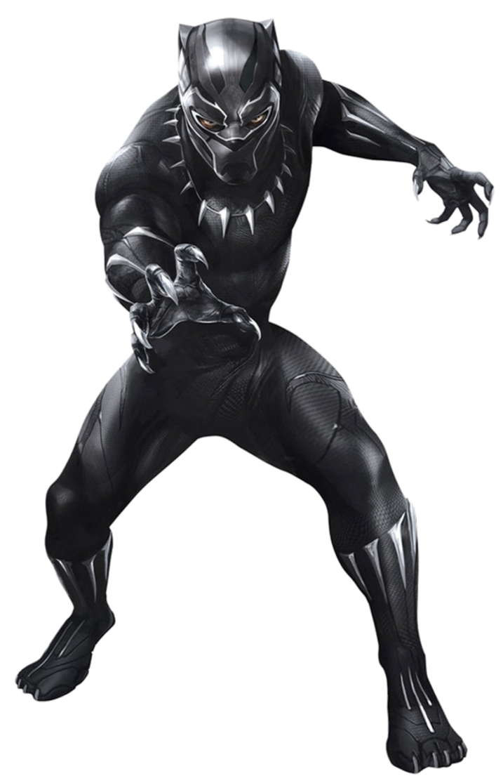 Black Panther  DBX Fanon Wikia  FANDOM powered by Wikia