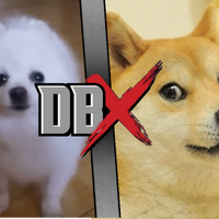 Doge Vs Gabe The Dog Dbx Fanon Wikia Fandom