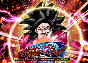 Quest top banner 525