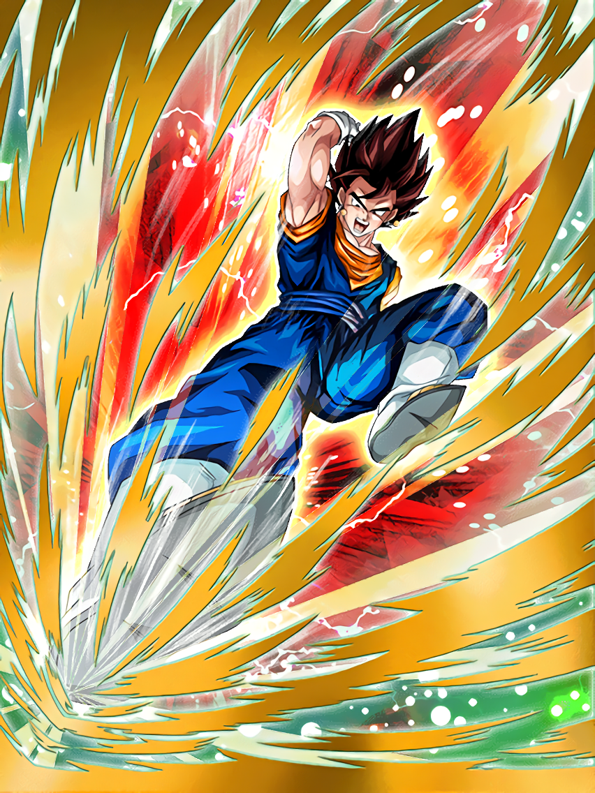 True Value of the Potara Vegito | Dragon Ball Z Dokkan Battle Wikia | FANDOM powered by Wikia