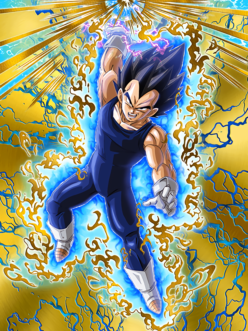 dokkan goku and vegeta