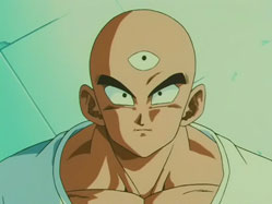 Tenshinhan1