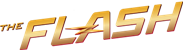 Flash Logo
