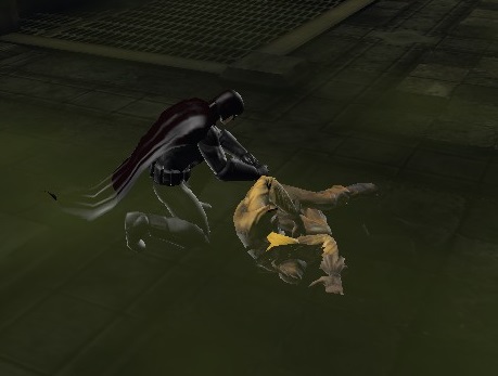 Black Harrier Takes Down Scarecrow