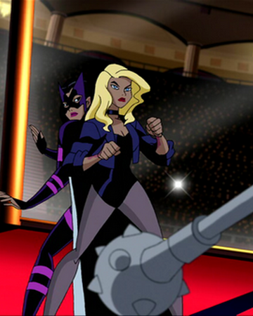 Grudge Match Dc Animated Universe Fandom