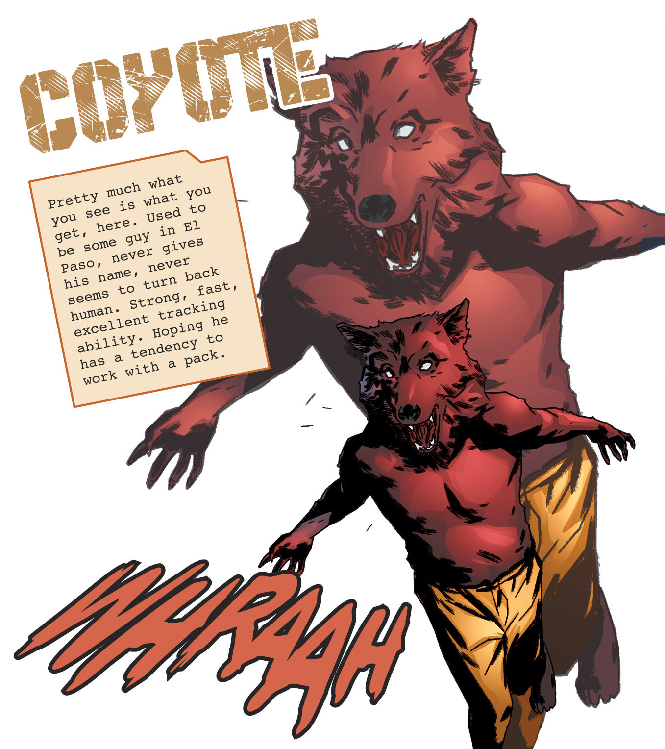 coyote tv show