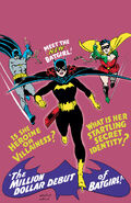 Batgirl Barbara Gordon 0004