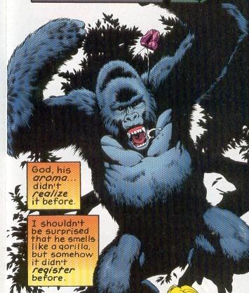 Gorilla-grodd super