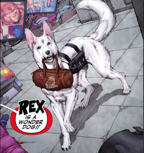 Rex the Wonder Dog