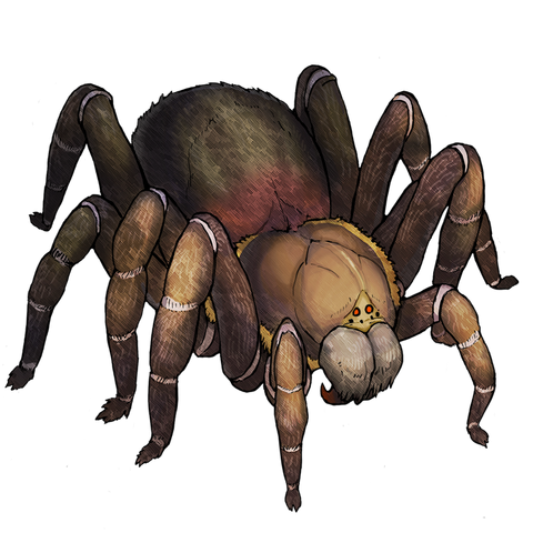 File:Spider.png