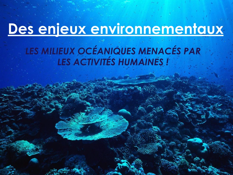 La pollution océanique | Wiki De la propreté | Fandom