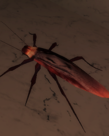 Cockroach De Pride Isle Wiki Fandom