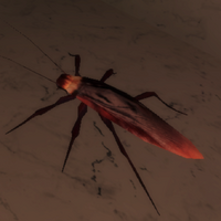 Cockroach De Pride Isle Wiki Fandom