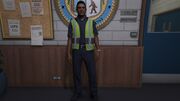 IG TrafficWarder (1)